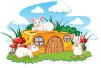 فافا والبيتزا