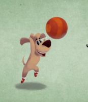 سلوقي وكرة الجوارب