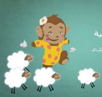 مشمشة و الخراف الشقية .