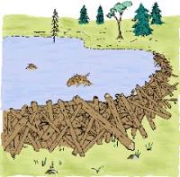 a tale of friendship