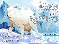 لِماذا رَحَلَ الدُّبُّ القُطْبيُّ؟