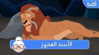 الاسد العجوز