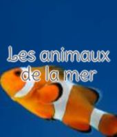 Les animaux de la mer