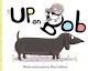 up on Bob